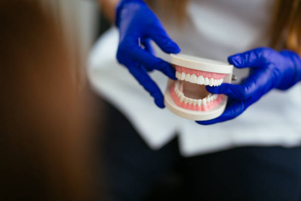 Why Choose Us for Your Dental Needs in East Harwich, MA